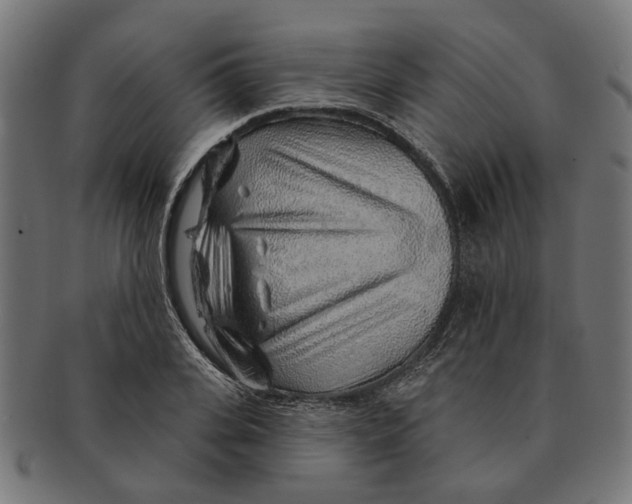 X0000091230935200709061516