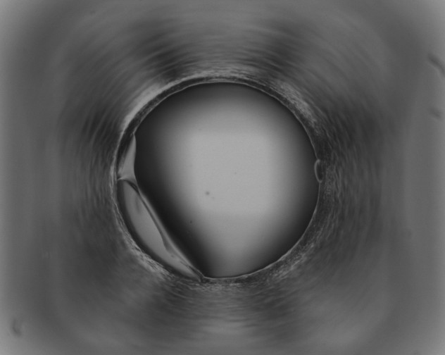X0000091230936200709061516