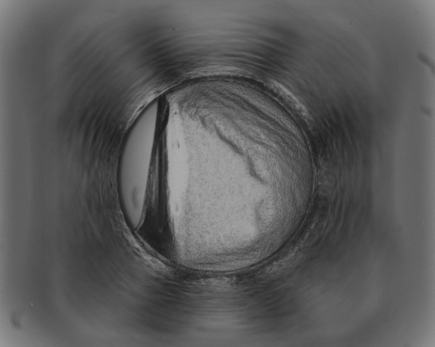 X0000091230937200709061516