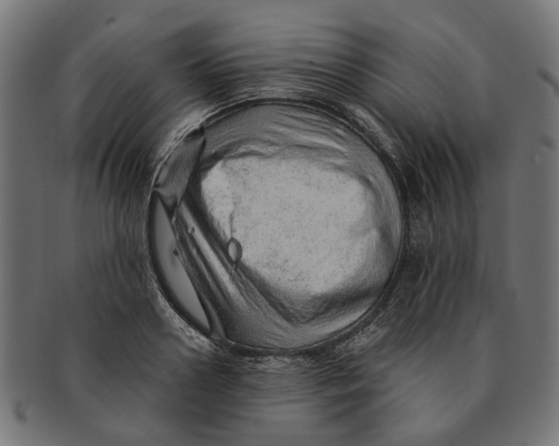 X0000091230938200709061516