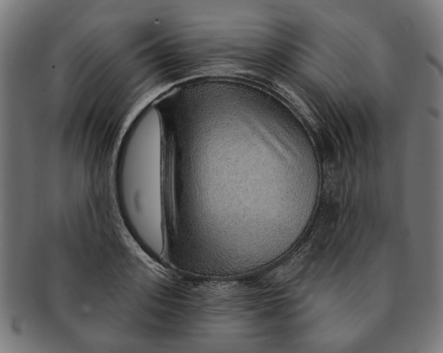 X0000091230939200709061516