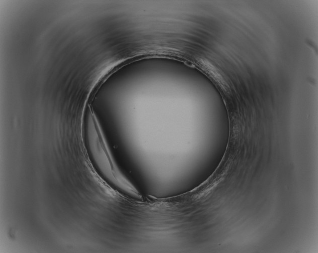 X0000091230940200709061516