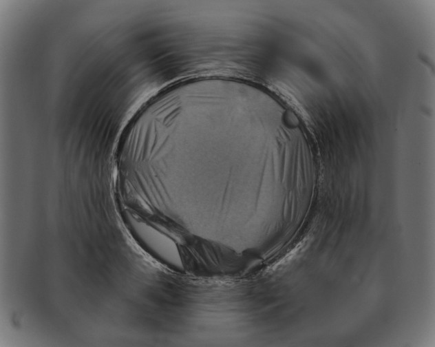 X0000091230941200709061516