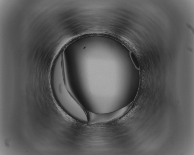 X0000091230942200709061516