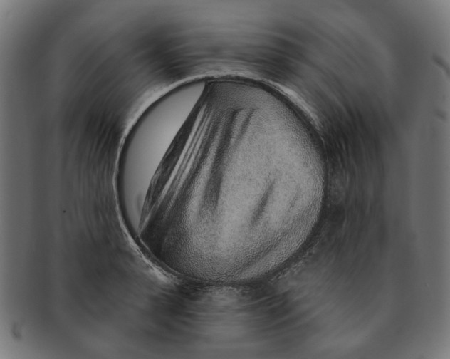 X0000091230943200709061516
