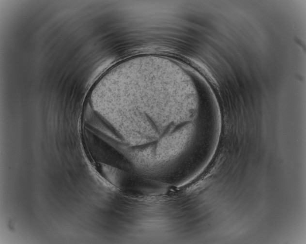 X0000091230946200709061516