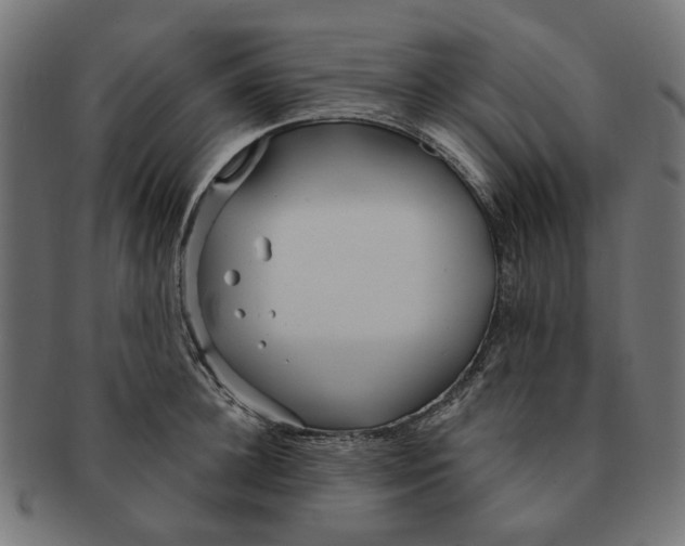 X0000091230948200709061516