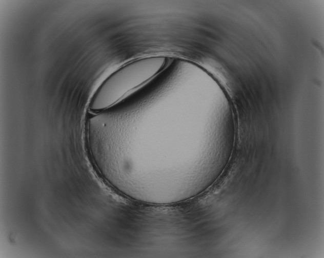 X0000091230949200709061516