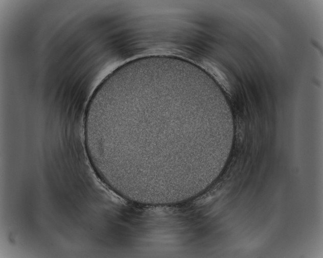 X0000091230950200709061516