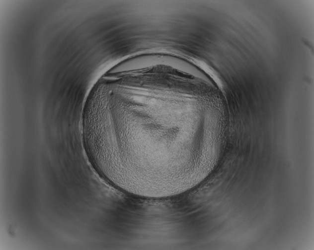 X0000091230951200709061516