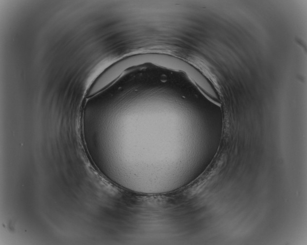 X0000091230952200709061516