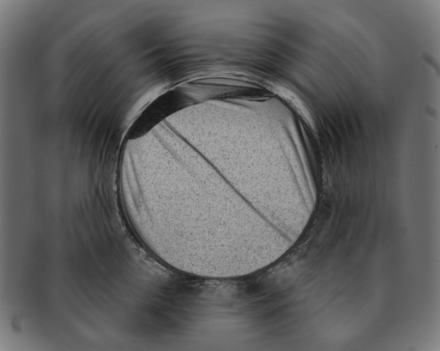 X0000091230954200709061516