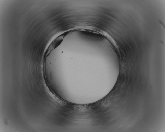 X0000091230955200709061516