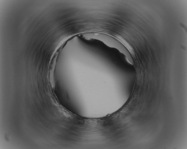 X0000091230956200709061516