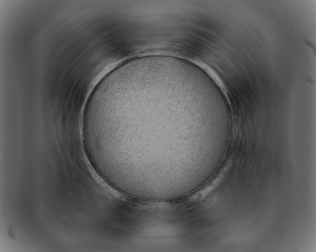 X0000091230957200709061516