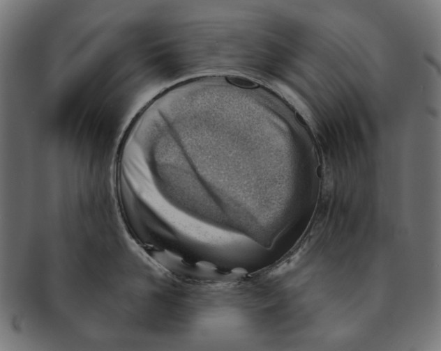 X0000091230958200709061516
