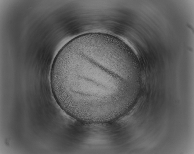 X0000091230959200709061516
