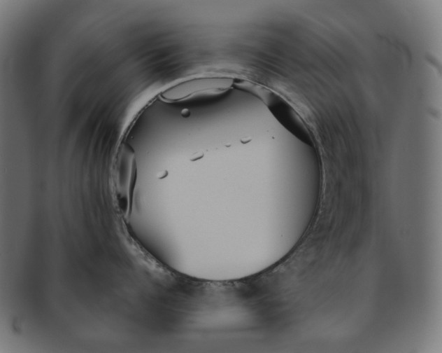 X0000091230960200709061516