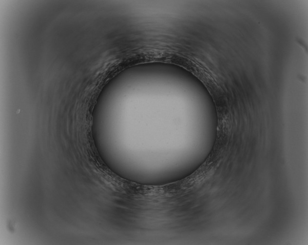X0000091230961200709061516