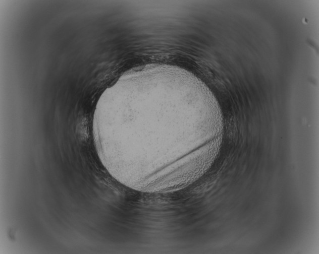 X0000091230962200709061516