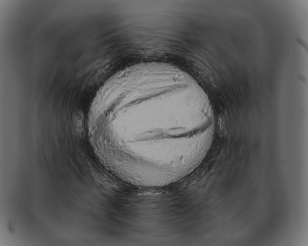 X0000091230963200709061516