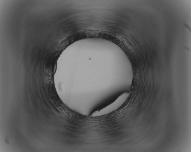 X0000091230964200709061516
