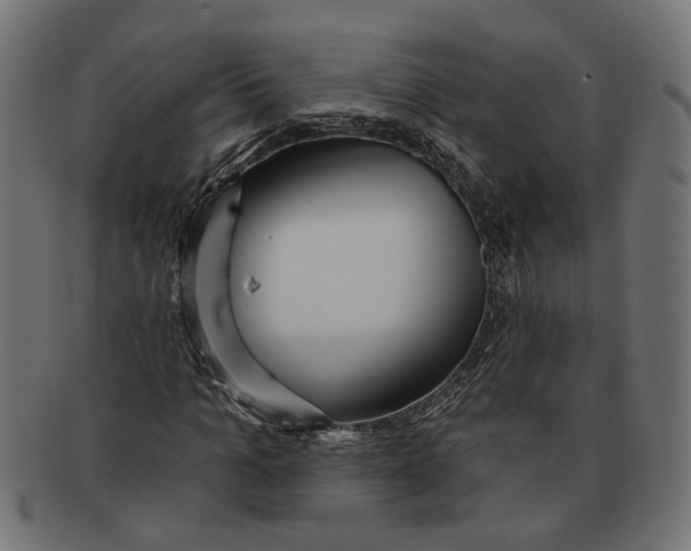 X0000091230965200709061516