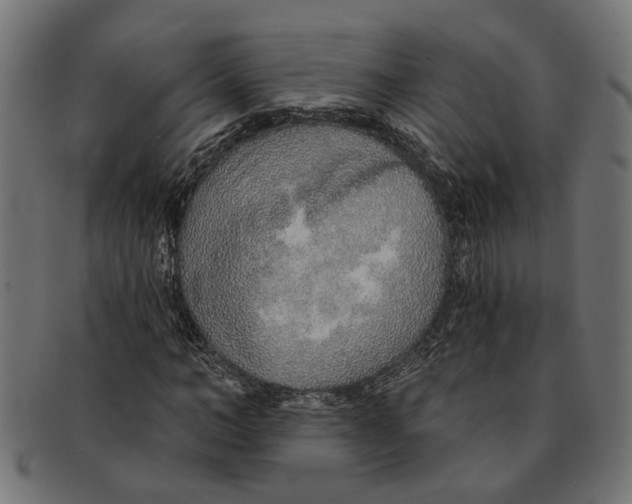 X0000091230966200709061516