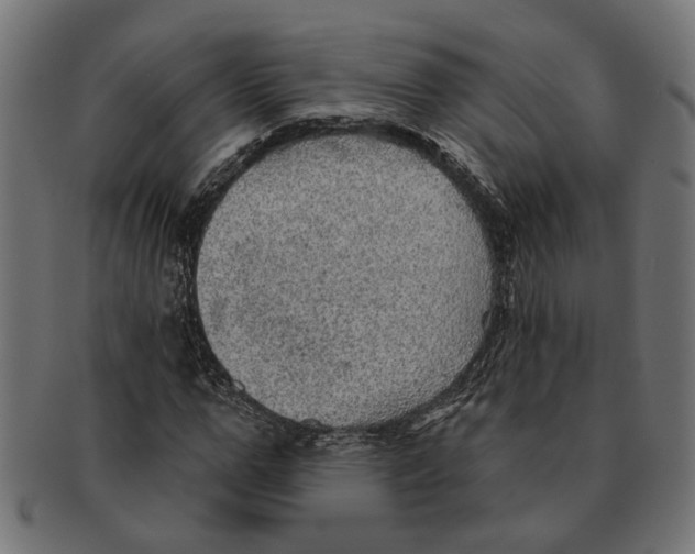 X0000091230967200709061516