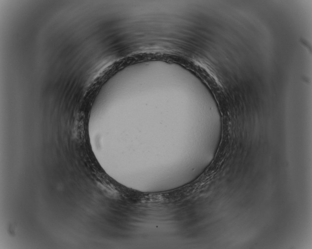 X0000091230968200709061516