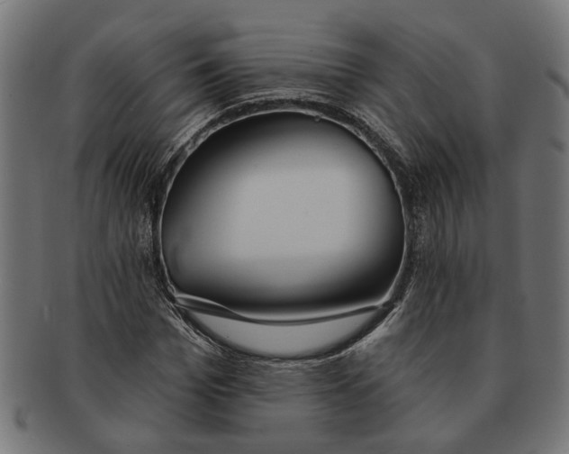 X0000091230969200709061516