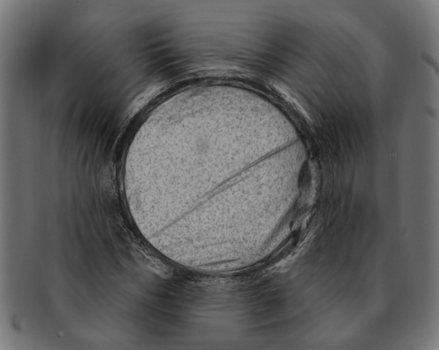 X0000091230970200709061516