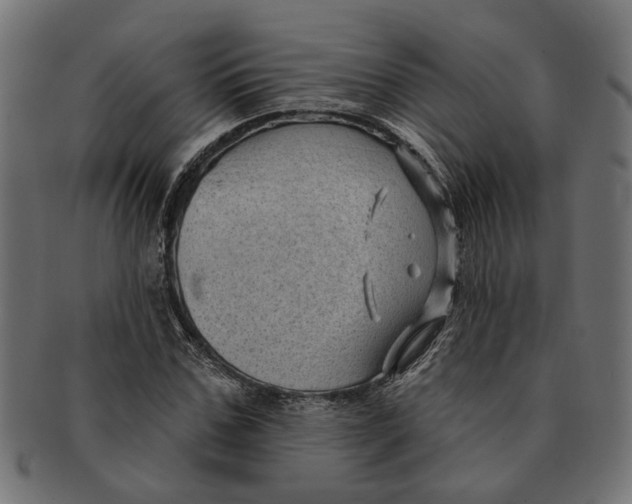 X0000091230971200709061516