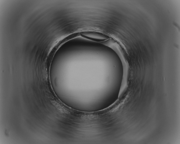 X0000091230973200709061516