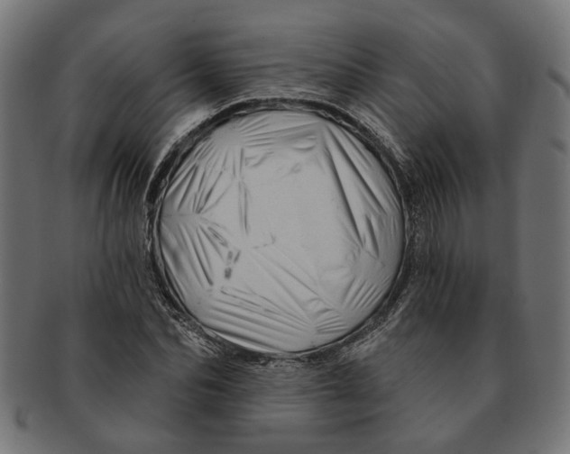 X0000091230974200709061516