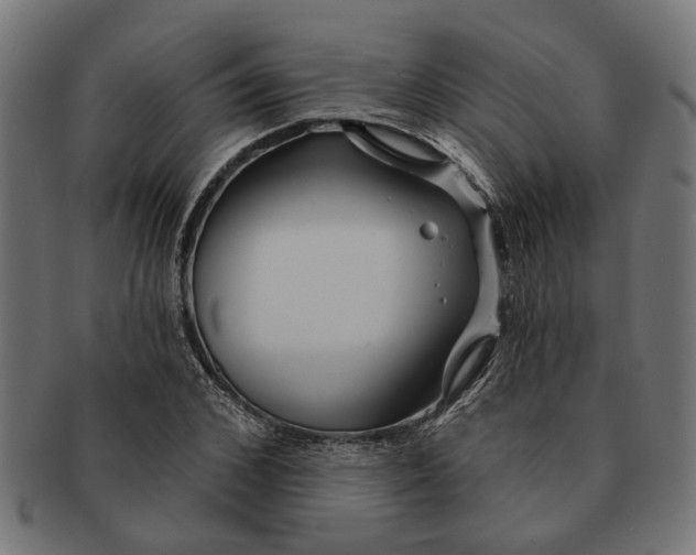 X0000091230976200709061516
