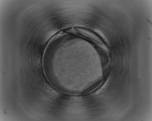 X0000091230977200709061516