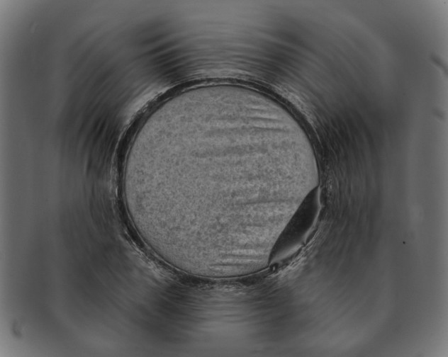 X0000091230979200709061516