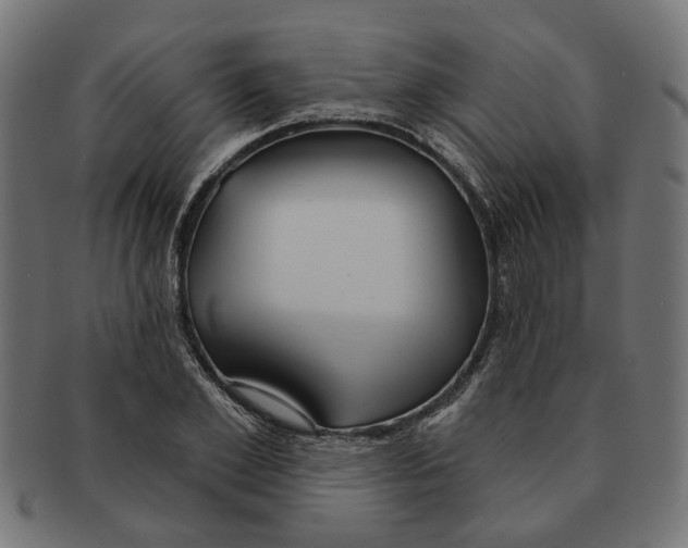 X0000091230981200709061516