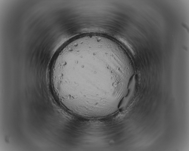 X0000091230983200709061515