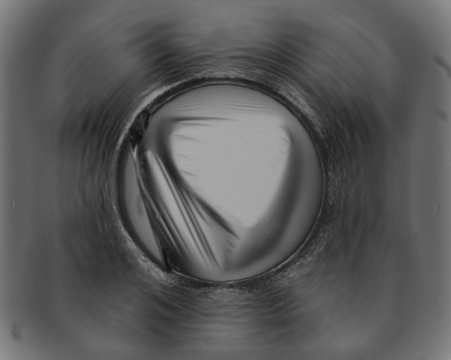 X0000091230984200709061515