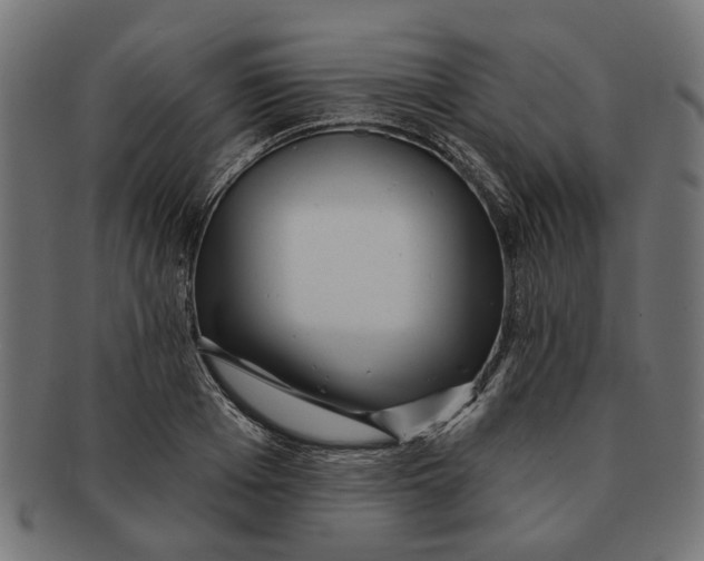 X0000091230985200709061515