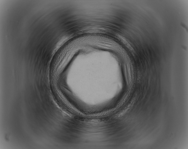 X0000091230986200709061515