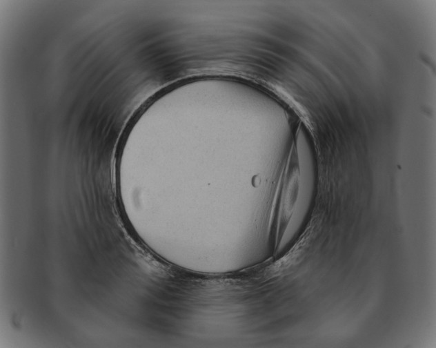 X0000091230988200709061515