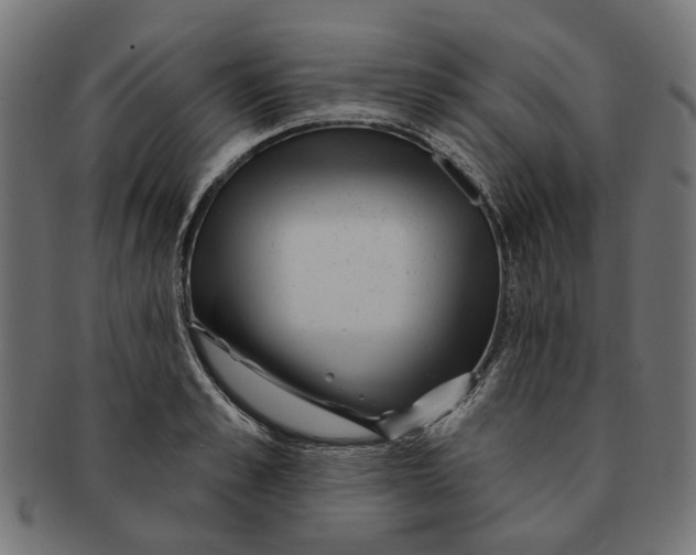 X0000091230989200709061515