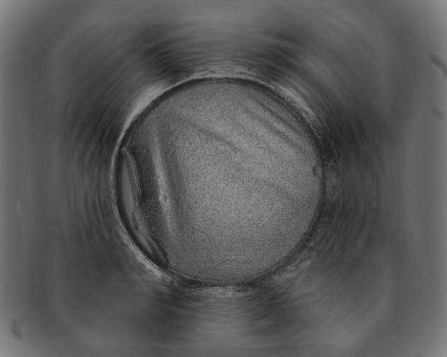 X0000091230990200709061515