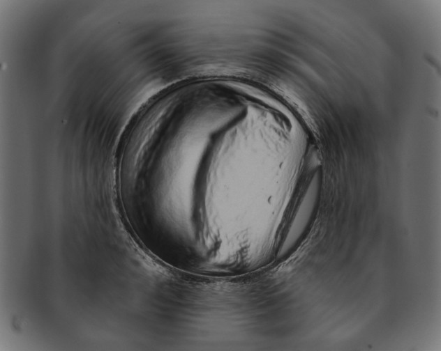 X0000091230992200709061515