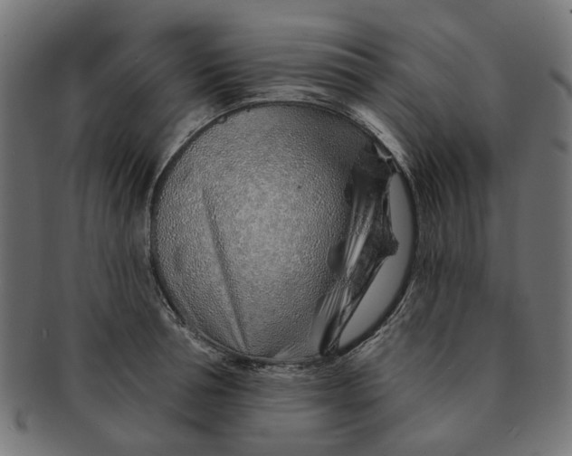 X0000091230994200709061515