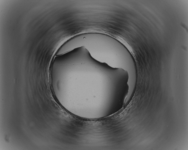 X0000091230996200709061515