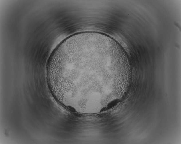 X0000091230998200709061515